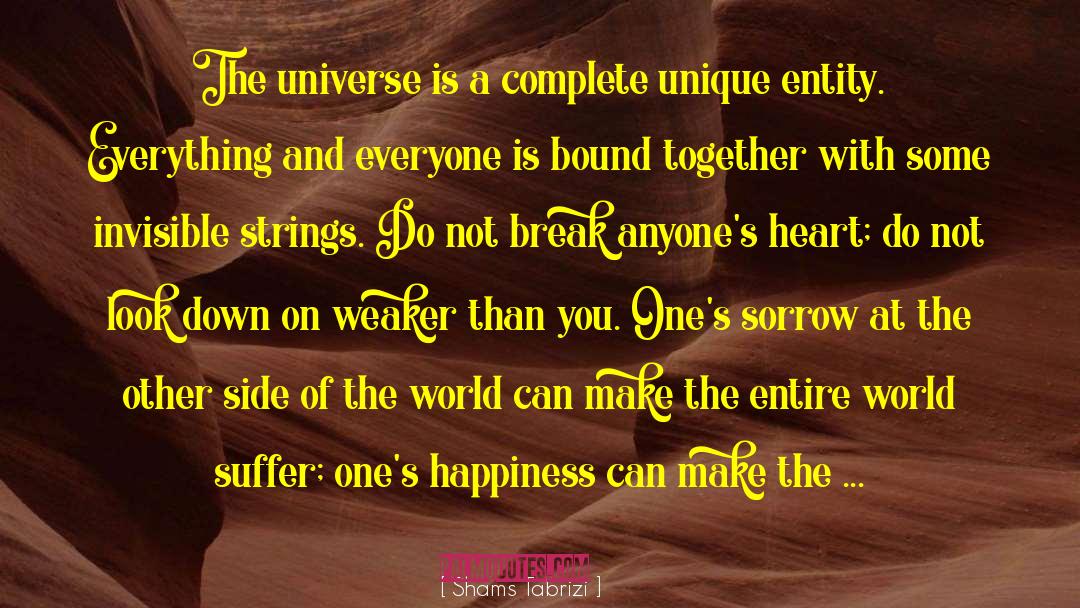 Shams Tabrizi Quotes: The universe is a complete