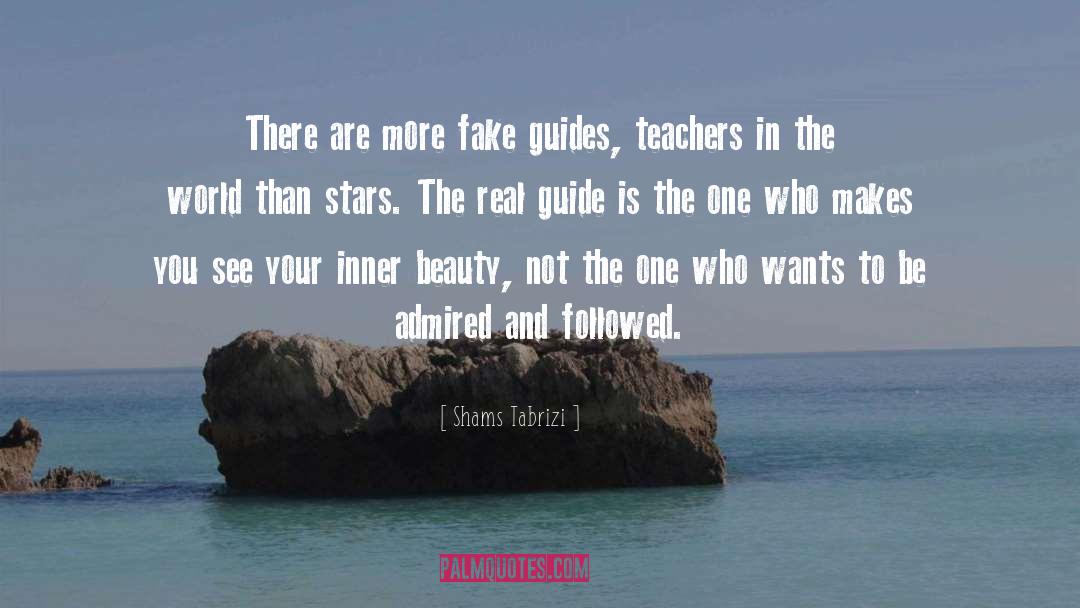 Shams Tabrizi Quotes: There are more fake guides,