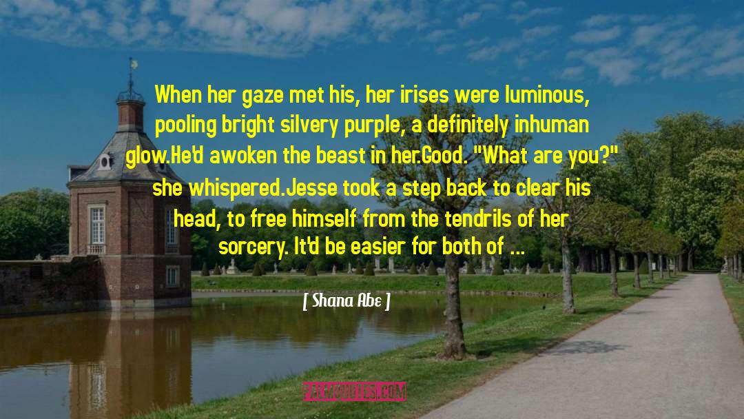 Shana Abe Quotes: When her gaze met his,