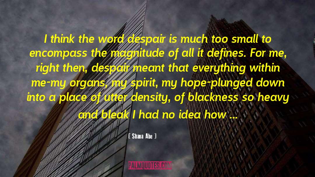 Shana Abe Quotes: I think the word despair