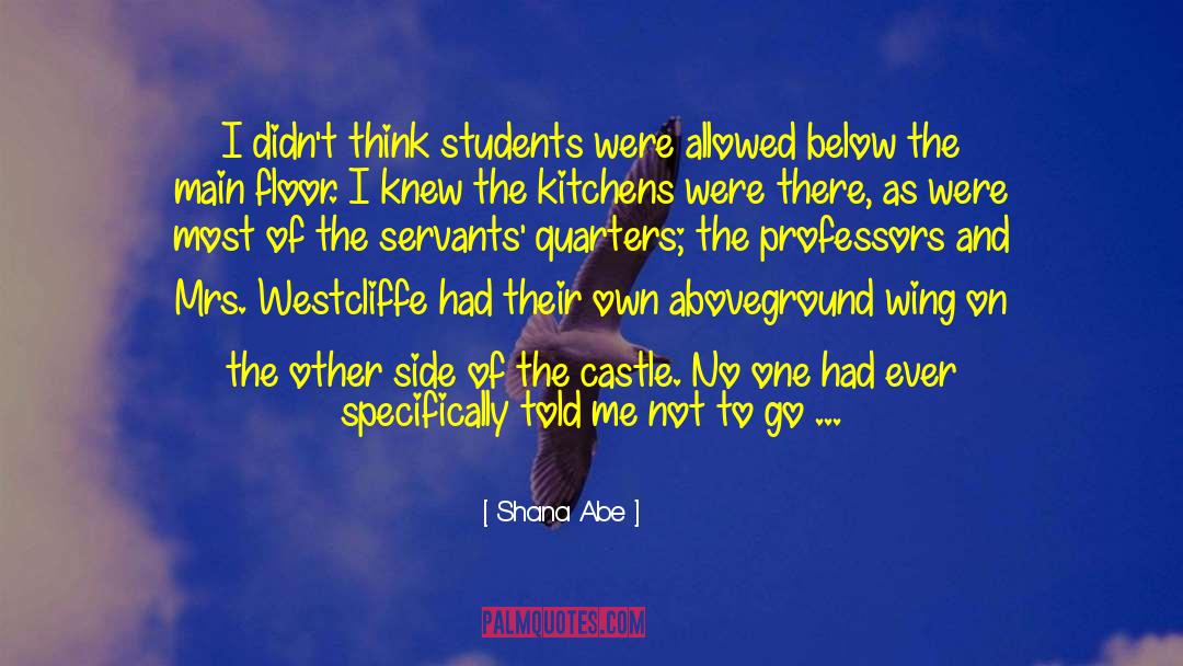 Shana Abe Quotes: I didn't think students were