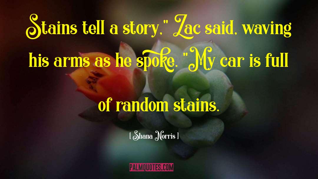 Shana Norris Quotes: Stains tell a story,