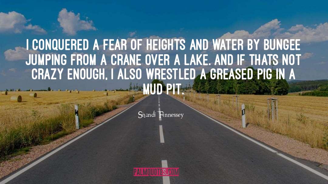 Shandi Finnessey Quotes: I conquered a fear of