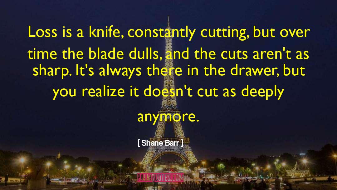 Shane Barr Quotes: Loss is a knife, constantly