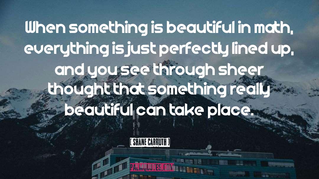 Shane Carruth Quotes: When something is beautiful in