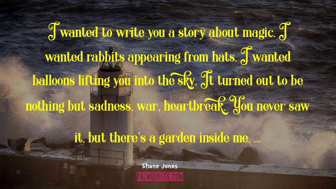 Shane Jones Quotes: I wanted to write you