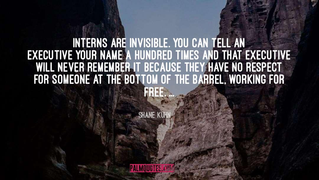 Shane Kuhn Quotes: Interns are invisible. You can