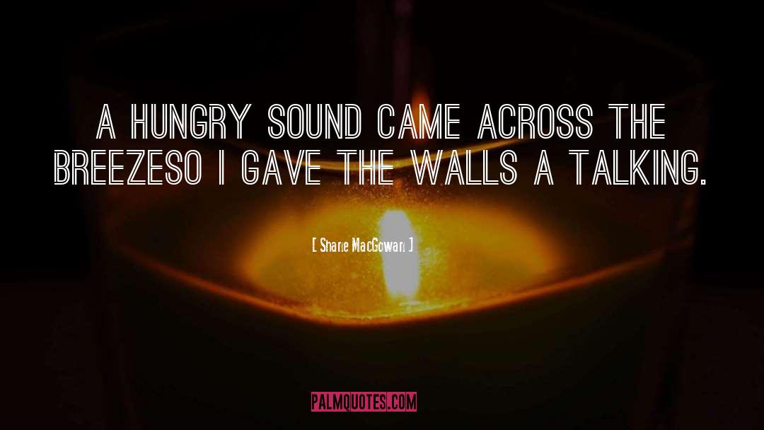 Shane MacGowan Quotes: A hungry sound came across