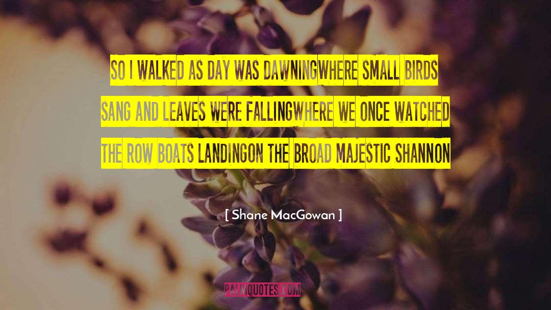 Shane MacGowan Quotes: So I walked as day