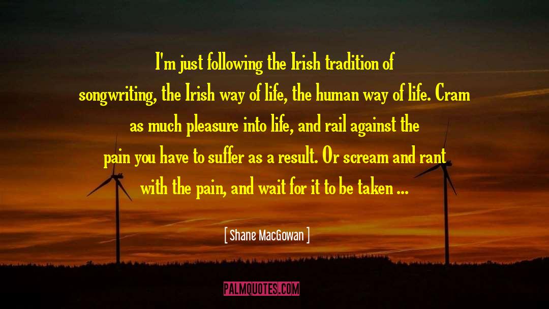 Shane MacGowan Quotes: I'm just following the Irish