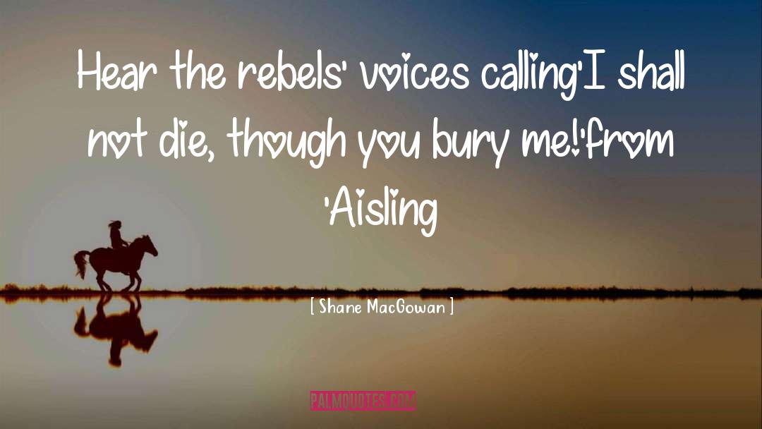 Shane MacGowan Quotes: Hear the rebels' voices calling<br