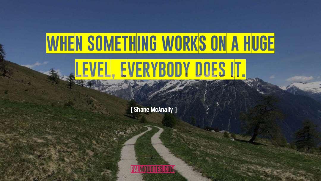 Shane McAnally Quotes: When something works on a