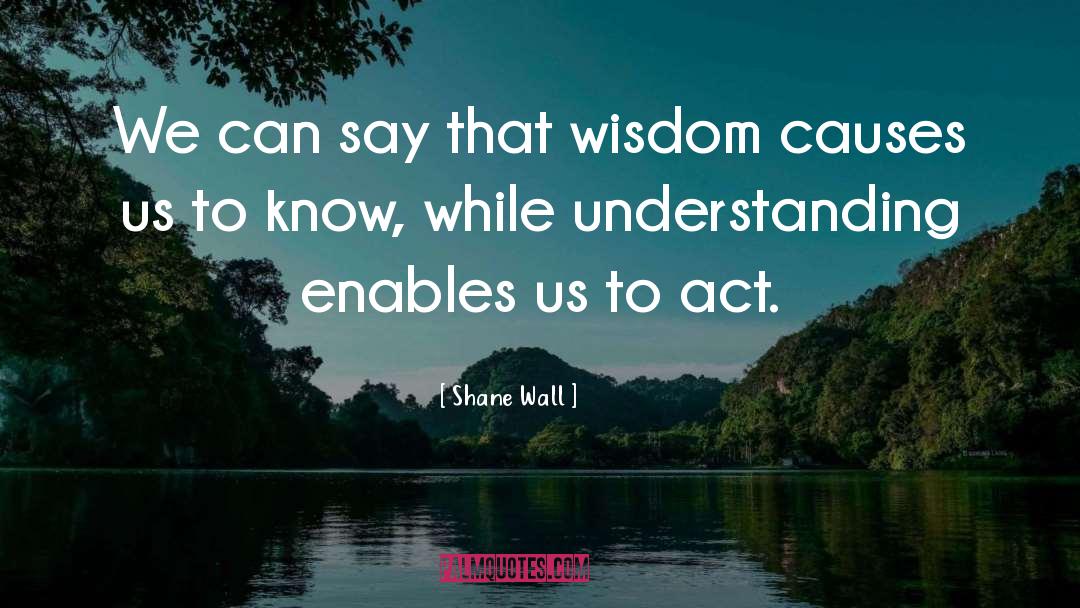 Shane Wall Quotes: We can say that wisdom
