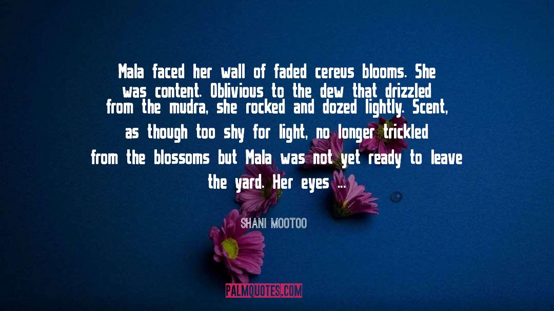 Shani Mootoo Quotes: Mala faced her wall of