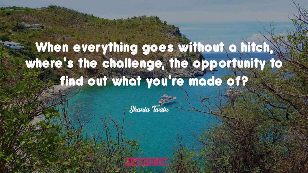 Shania Twain Quotes: When everything goes without a