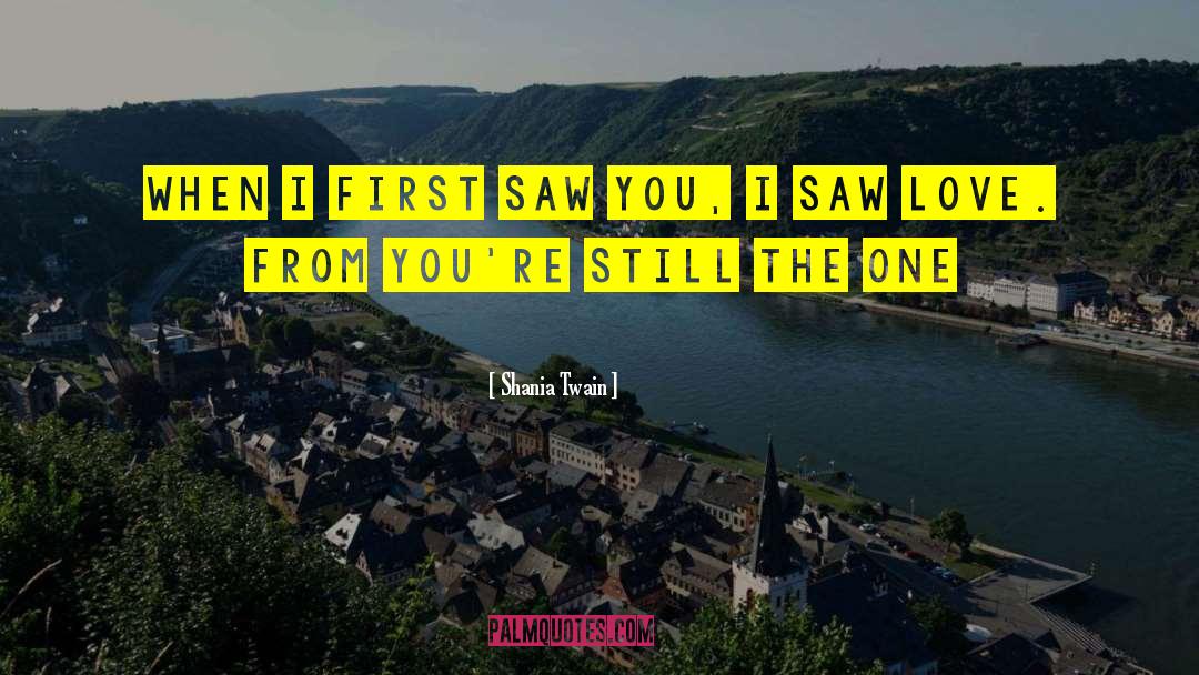 Shania Twain Quotes: When I first saw you,