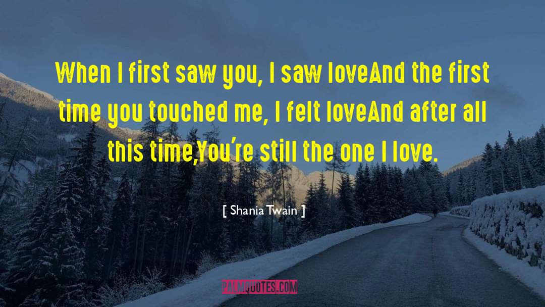 Shania Twain Quotes: When I first saw you,