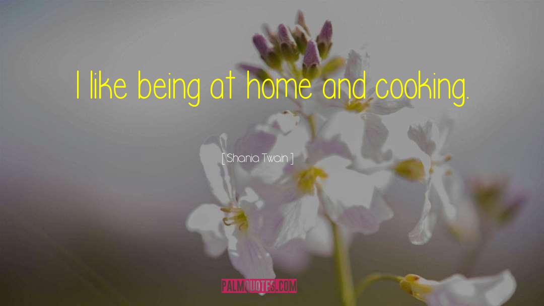 Shania Twain Quotes: I like being at home