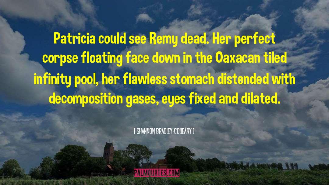 Shannon Bradley-Colleary Quotes: Patricia could see Remy dead.