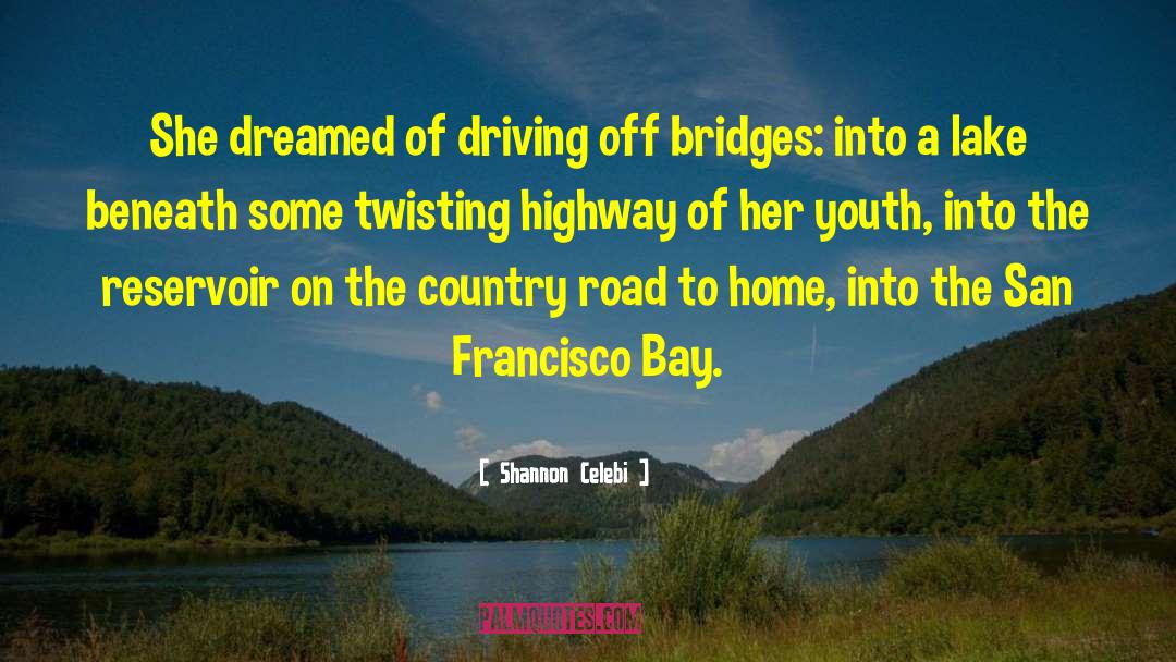 Shannon Celebi Quotes: She dreamed of driving off