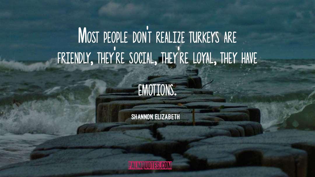 Shannon Elizabeth Quotes: Most people don't realize turkeys