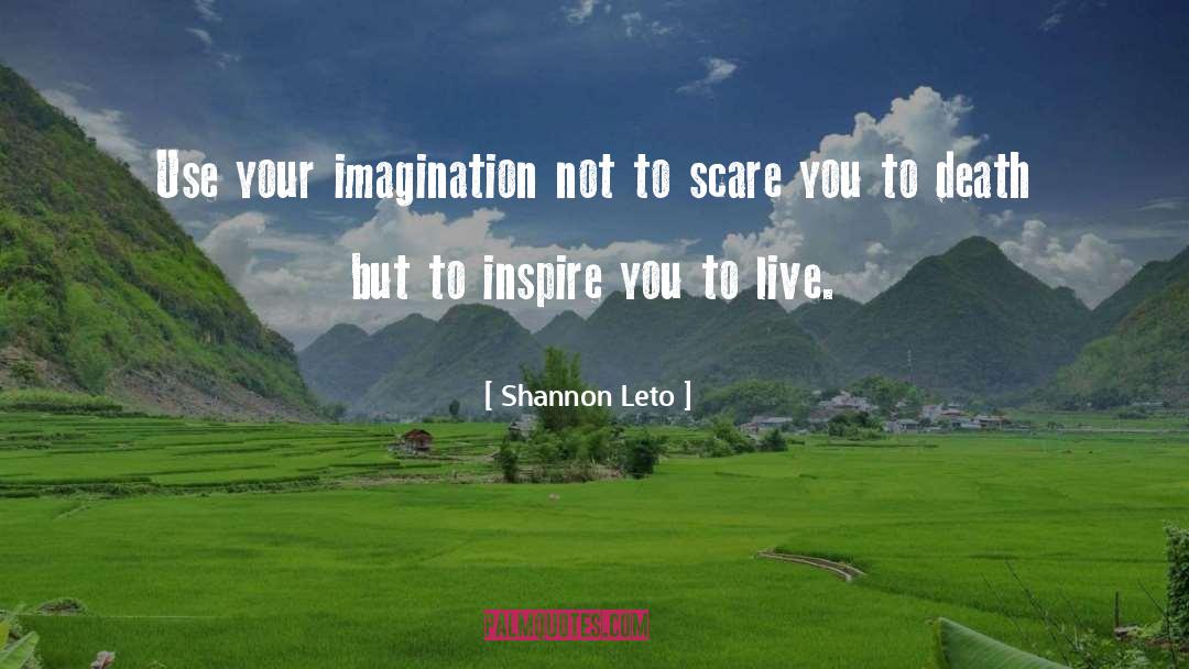 Shannon Leto Quotes: Use your imagination not to