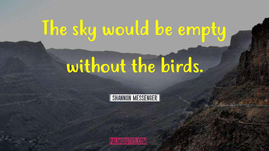 Shannon Messenger Quotes: The sky would be empty