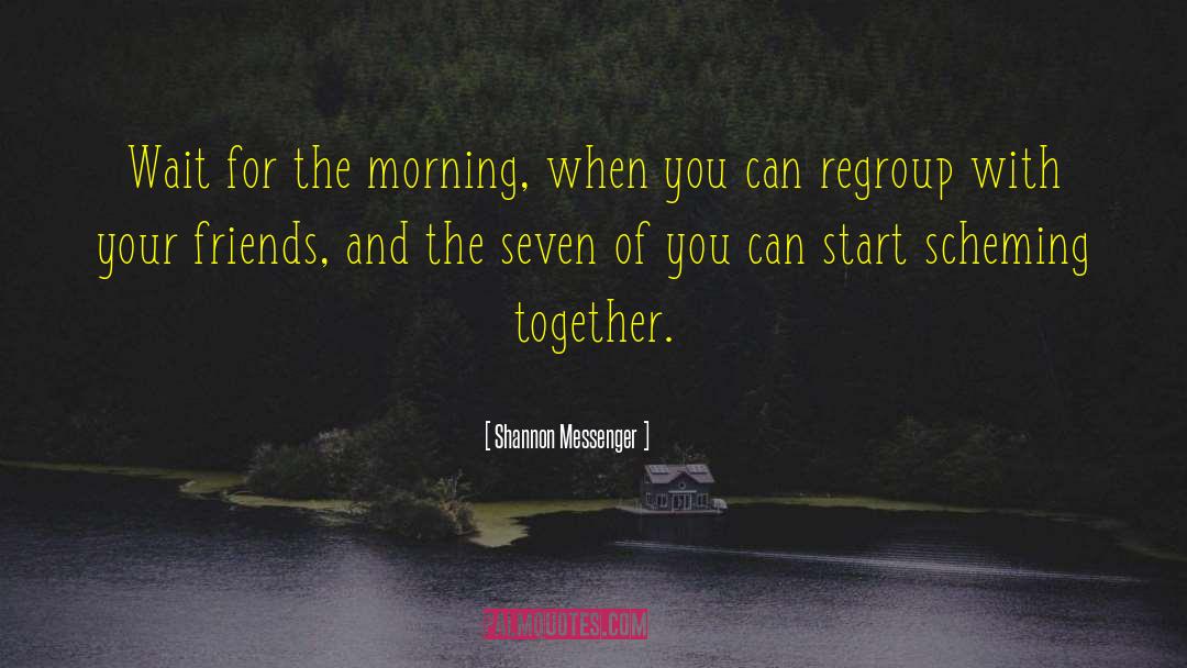 Shannon Messenger Quotes: Wait for the morning, when