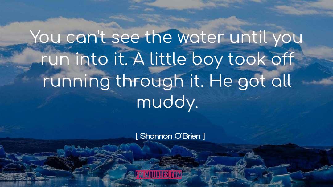 Shannon O'Brien Quotes: You can't see the water