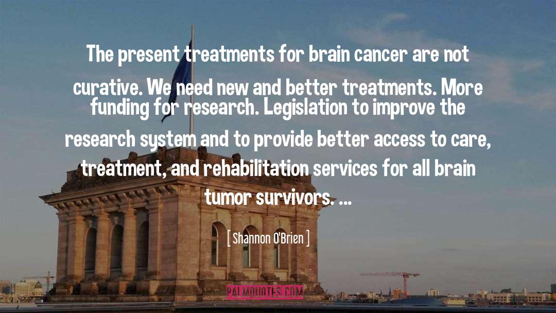 Shannon O'Brien Quotes: The present treatments for brain