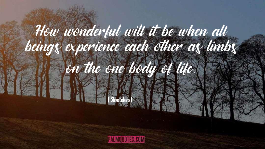 Shantideva Quotes: How wonderful will it be