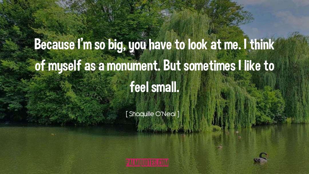 Shaquille O'Neal Quotes: Because I'm so big, you