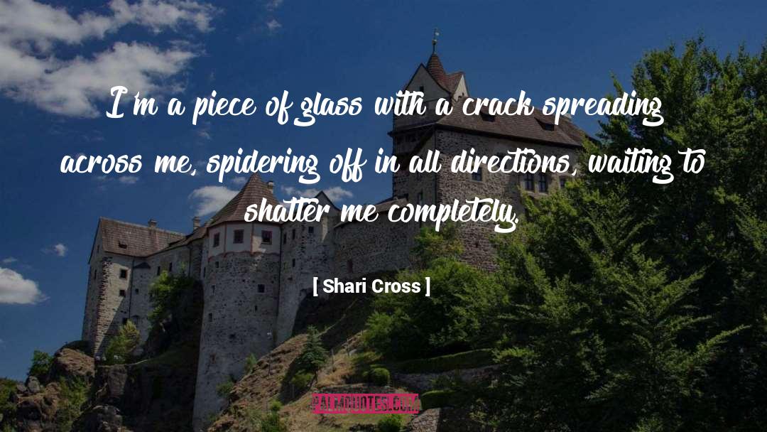 Shari Cross Quotes: I'm a piece of glass