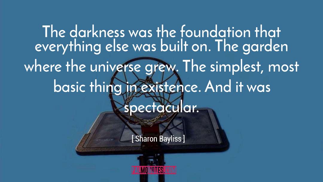 Sharon Bayliss Quotes: The darkness was the foundation