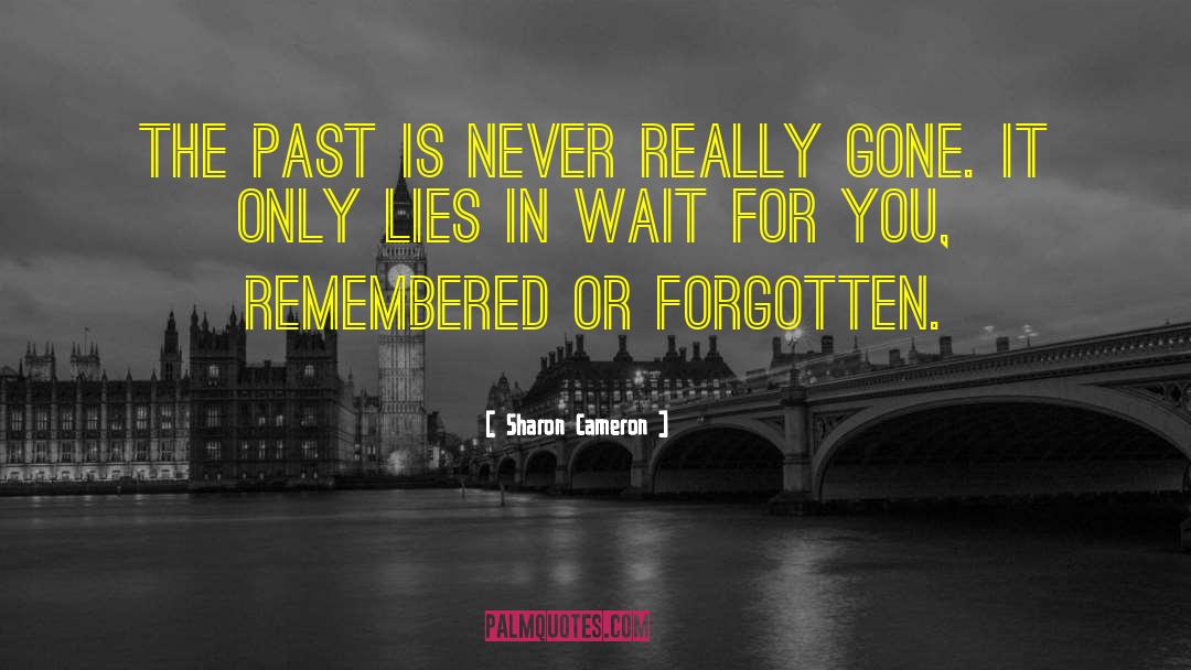 Sharon Cameron Quotes: The past is never really