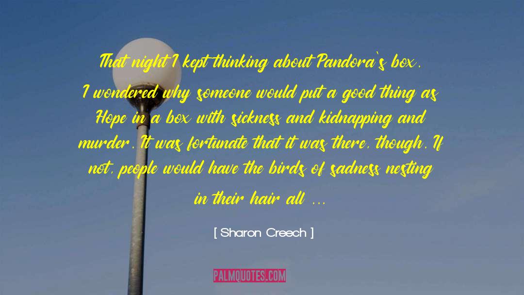 Sharon Creech Quotes: That night I kept thinking