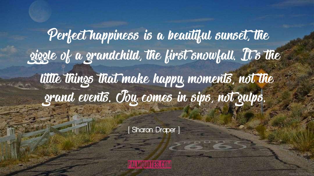 Sharon Draper Quotes: Perfect happiness is a beautiful