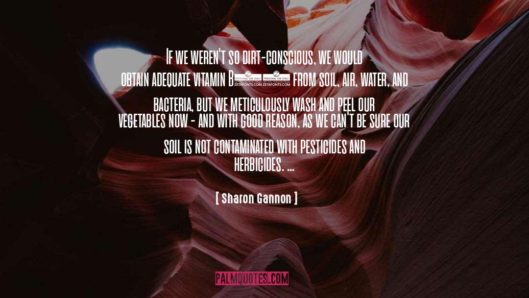 Sharon Gannon Quotes: If we weren't so dirt-conscious,