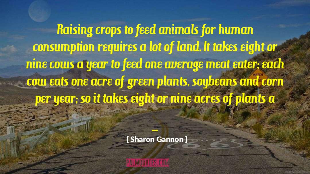 Sharon Gannon Quotes: Raising crops to feed animals