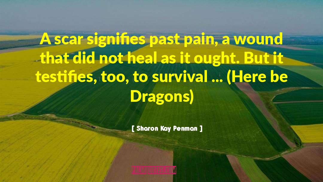 Sharon Kay Penman Quotes: A scar signifies past pain,