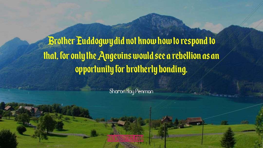Sharon Kay Penman Quotes: Brother Euddogwy did not know