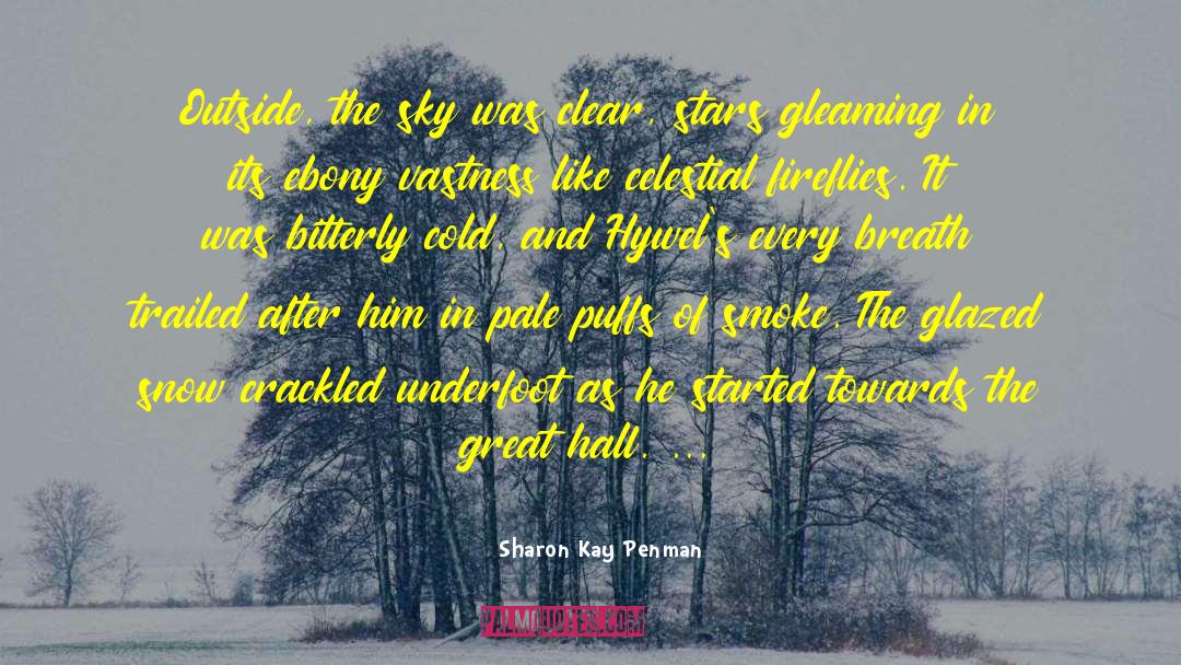 Sharon Kay Penman Quotes: Outside, the sky was clear,