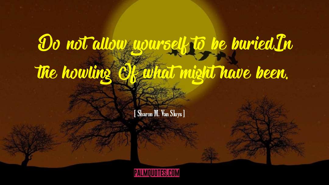Sharon M. Van Sluys Quotes: Do not allow yourself to