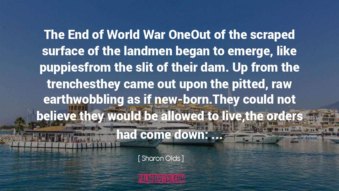 Sharon Olds Quotes: The End of World War