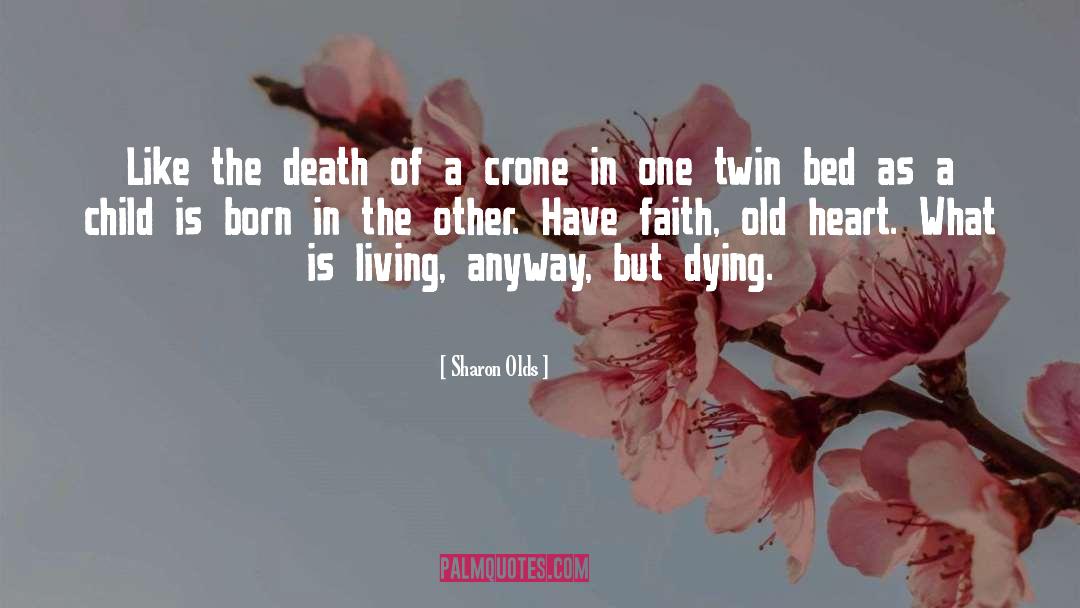 Sharon Olds Quotes: Like the death of a
