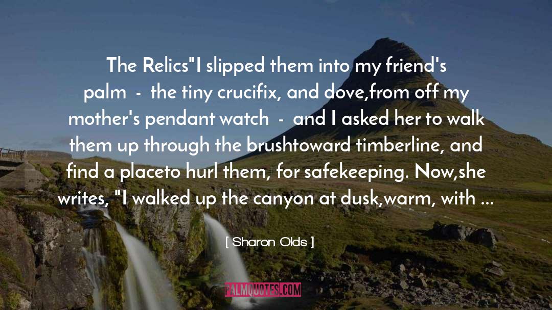 Sharon Olds Quotes: The Relics