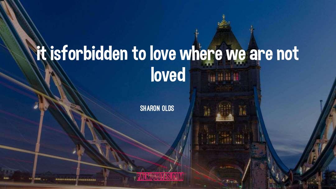 Sharon Olds Quotes: it is<br />forbidden to love