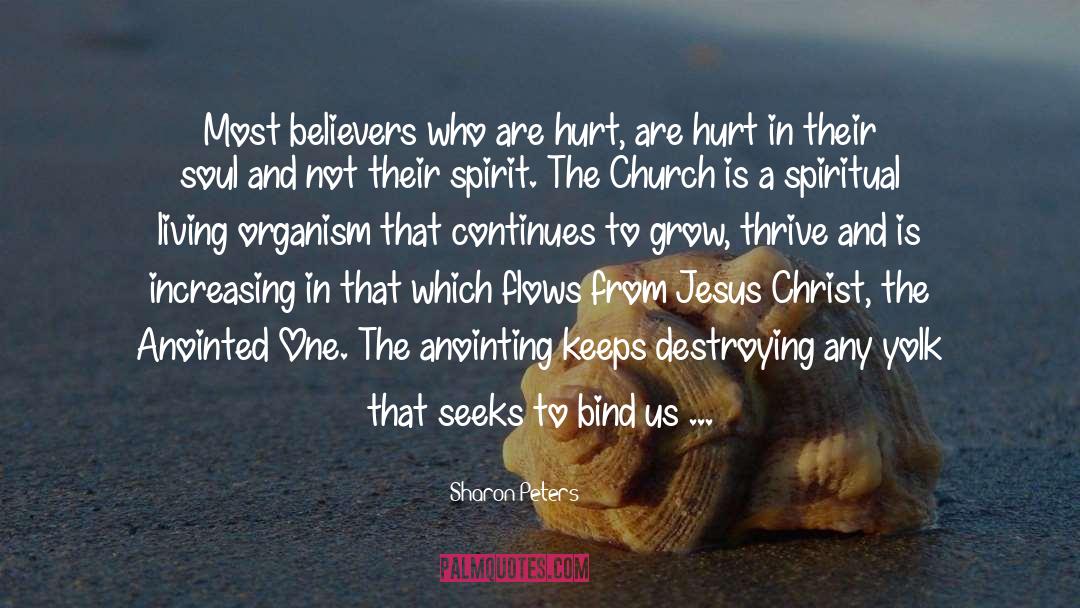 Sharon Peters Quotes: Most believers who are hurt,