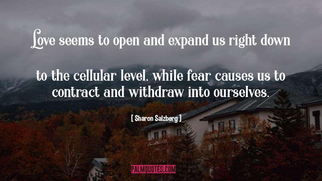Sharon Salzberg Quotes: Love seems to open and