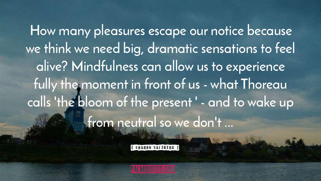 Sharon Salzberg Quotes: How many pleasures escape our